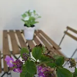 Apartmán A Casa Di Ida