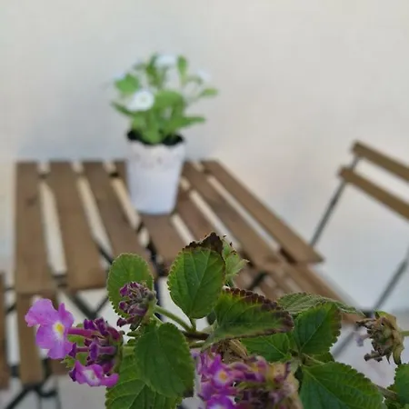 아파트 A Casa Di Ida
